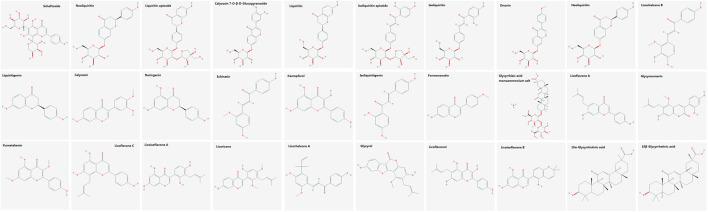 https://cdn.ncbi.nlm.nih.gov/pmc/blobs/9f8e/8114075/6c98099b9bf9/fphar-12-590477-g006.jpg