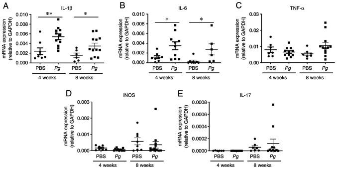 https://cdn.ncbi.nlm.nih.gov/pmc/blobs/9f90/9242655/54cc7df22939/IJMM-50-02-05159-g02.jpg