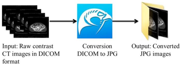 https://cdn.ncbi.nlm.nih.gov/pmc/blobs/9f91/10451186/852174531bc6/bioengineering-10-00972-g002.jpg