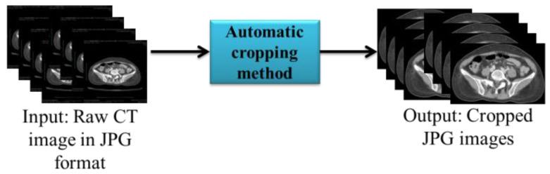https://cdn.ncbi.nlm.nih.gov/pmc/blobs/9f91/10451186/a4e1ba01ad48/bioengineering-10-00972-g003.jpg