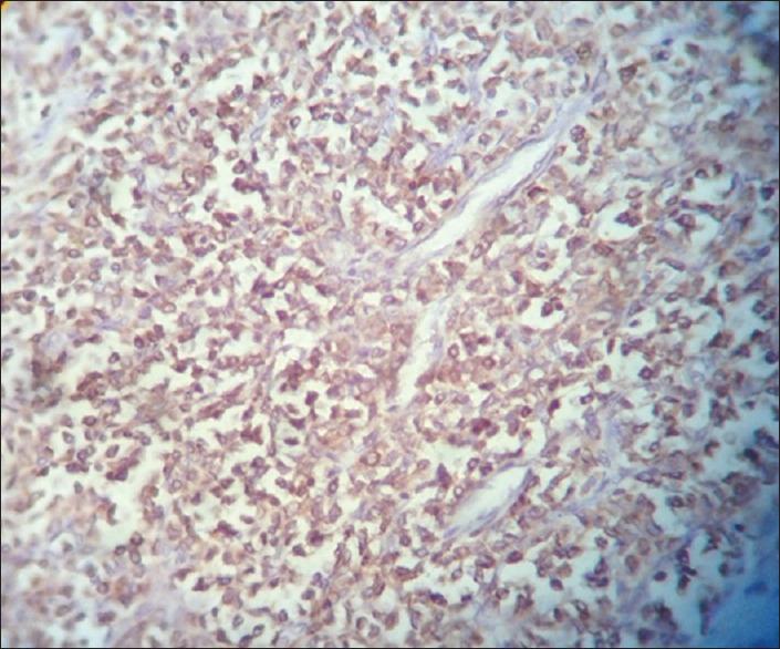 https://cdn.ncbi.nlm.nih.gov/pmc/blobs/9f94/5553242/b655667da627/JRMS-22-83-g004.jpg