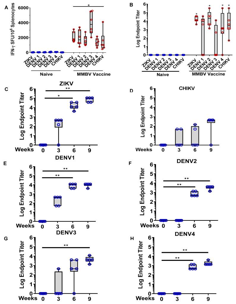 https://cdn.ncbi.nlm.nih.gov/pmc/blobs/9f95/7997291/4a2b1862151b/viruses-13-00382-g003.jpg