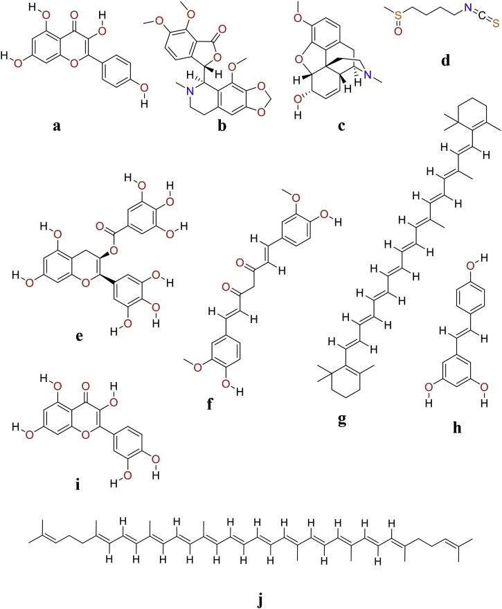 https://cdn.ncbi.nlm.nih.gov/pmc/blobs/9f95/8167155/48ab4a6c355b/gr1.jpg