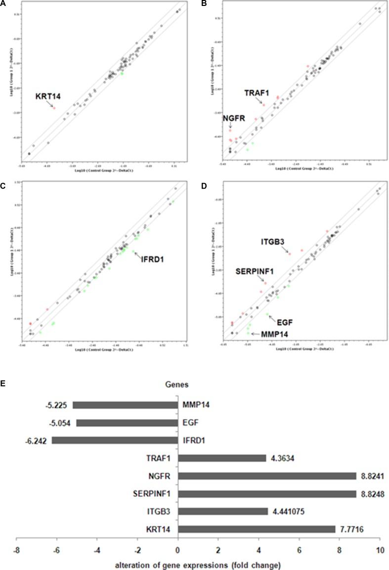 https://cdn.ncbi.nlm.nih.gov/pmc/blobs/9f98/5710901/b9f1732b96b1/oncotarget-08-91009-g003.jpg