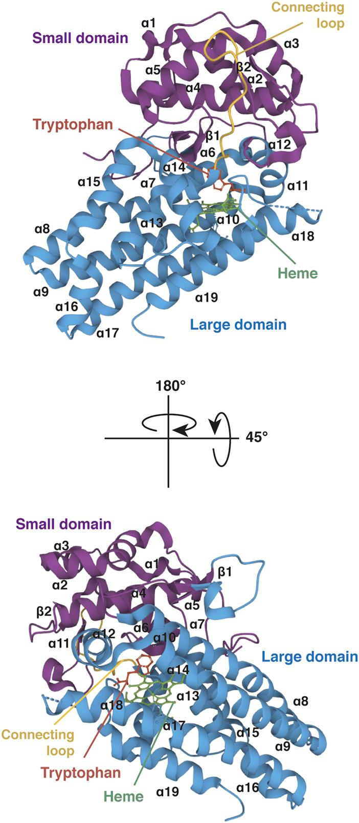 https://cdn.ncbi.nlm.nih.gov/pmc/blobs/9f99/9515494/748aa4752b83/fmolb-09-897929-g007.jpg