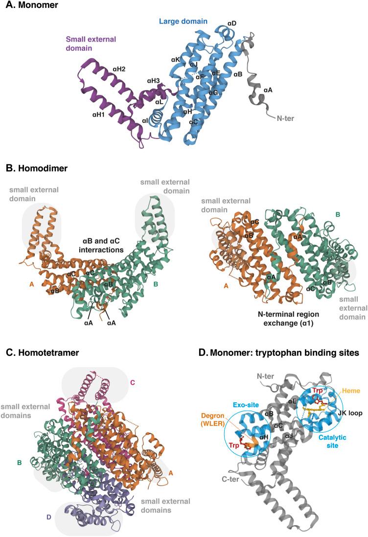 https://cdn.ncbi.nlm.nih.gov/pmc/blobs/9f99/9515494/f948ceebea82/fmolb-09-897929-g005.jpg