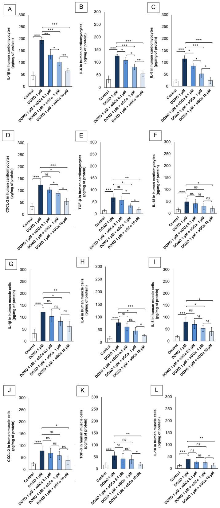 https://cdn.ncbi.nlm.nih.gov/pmc/blobs/9f9a/11047880/174820b2d43e/cancers-16-01487-g005.jpg