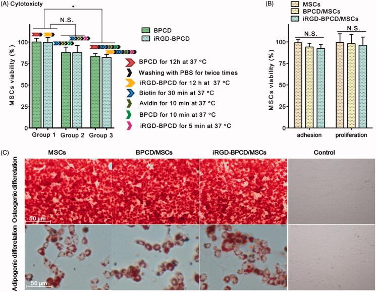 https://cdn.ncbi.nlm.nih.gov/pmc/blobs/9f9a/8241180/a722d90f633f/IDRD_A_1375580_F0003_C.jpg