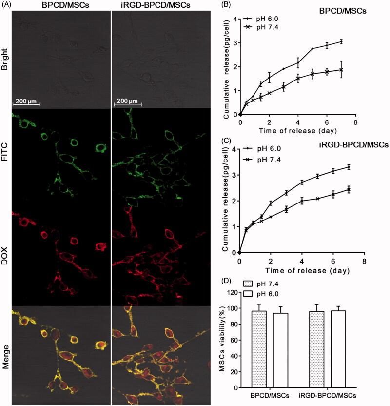 https://cdn.ncbi.nlm.nih.gov/pmc/blobs/9f9a/8241180/f5f70c3ac457/IDRD_A_1375580_F0001_C.jpg