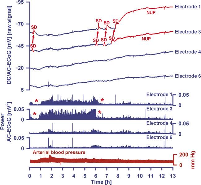 https://cdn.ncbi.nlm.nih.gov/pmc/blobs/9f9b/11772537/2729a49d1713/12975_2024_1237_Fig6_HTML.jpg