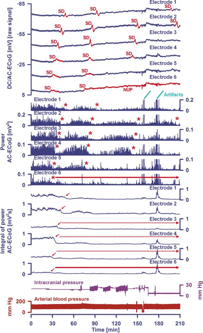 https://cdn.ncbi.nlm.nih.gov/pmc/blobs/9f9b/11772537/39ea1498b587/12975_2024_1237_Fig2_HTML.jpg
