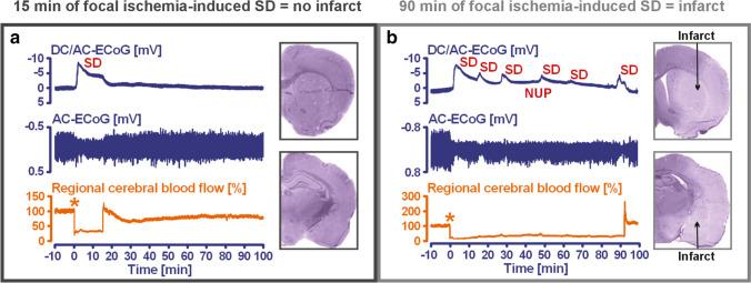 https://cdn.ncbi.nlm.nih.gov/pmc/blobs/9f9b/11772537/8b00f3876e84/12975_2024_1237_Fig4_HTML.jpg