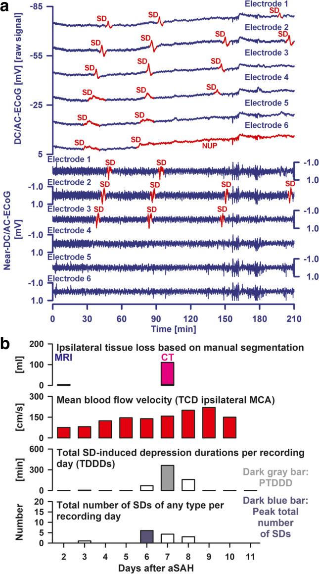 https://cdn.ncbi.nlm.nih.gov/pmc/blobs/9f9b/11772537/d0af8dcd6ee1/12975_2024_1237_Fig3_HTML.jpg