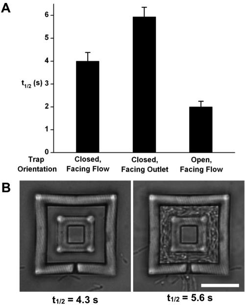 https://cdn.ncbi.nlm.nih.gov/pmc/blobs/9f9c/2975351/bdda72656fcb/mbo0041010470003.jpg