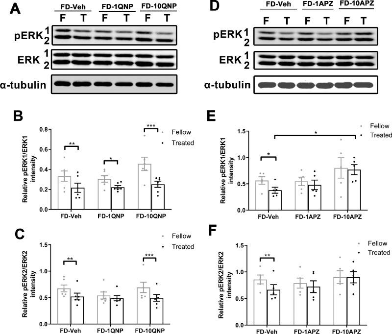 https://cdn.ncbi.nlm.nih.gov/pmc/blobs/9f9d/7415310/00a6559e3b85/iovs-61-6-47-f007.jpg
