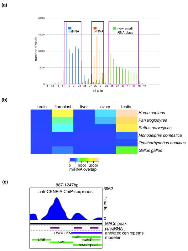 https://cdn.ncbi.nlm.nih.gov/pmc/blobs/9f9e/3277949/3552228e0177/gb-2011-12-8-r81-4.jpg