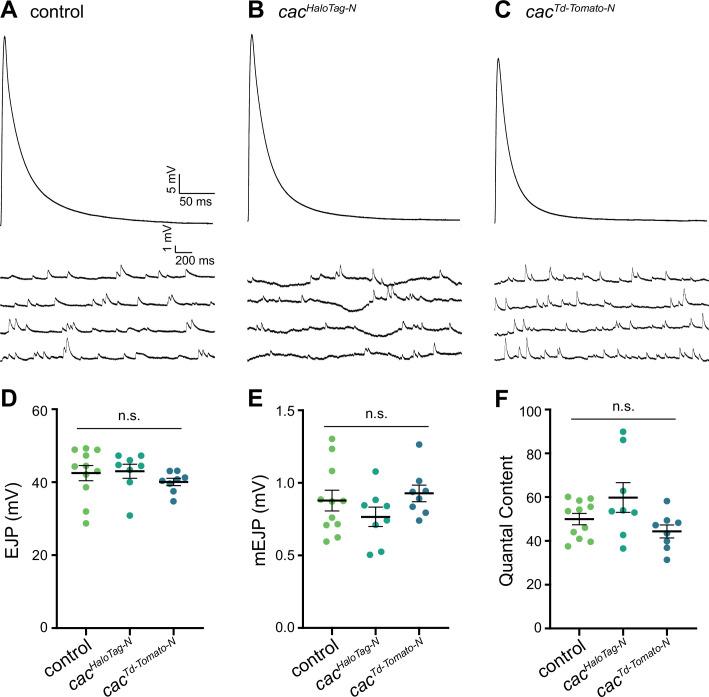 https://cdn.ncbi.nlm.nih.gov/pmc/blobs/9f9f/11410372/4411fe53151e/elife-88412-fig1-figsupp1.jpg