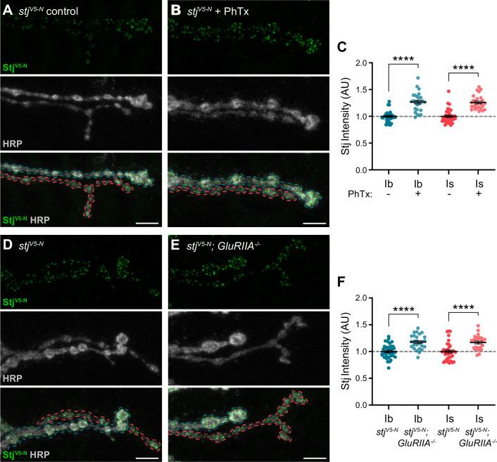 https://cdn.ncbi.nlm.nih.gov/pmc/blobs/9f9f/11410372/e23076cddf7f/elife-88412-fig7.jpg