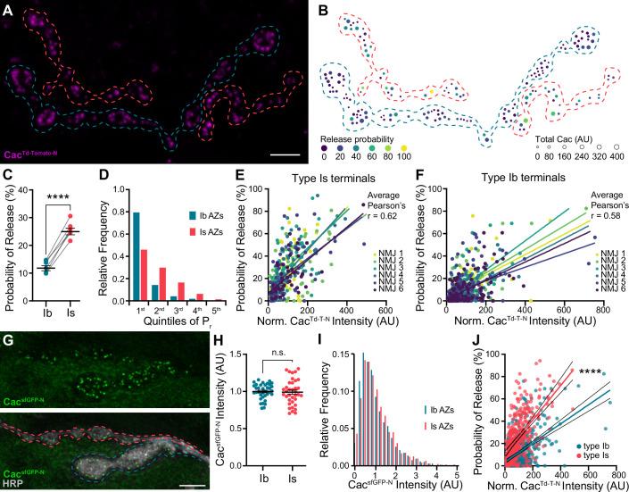https://cdn.ncbi.nlm.nih.gov/pmc/blobs/9f9f/11410372/ea4c2bc959c6/elife-88412-fig1.jpg