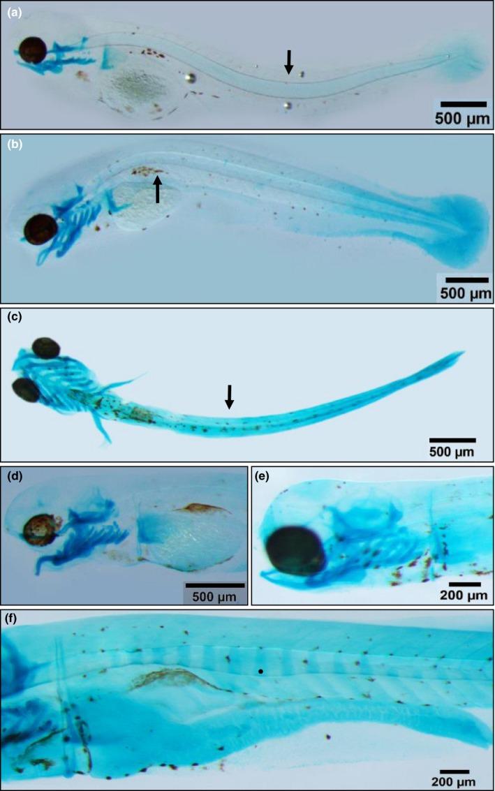 https://cdn.ncbi.nlm.nih.gov/pmc/blobs/9f9f/6206194/759db5286e6b/ECE3-8-10039-g002.jpg