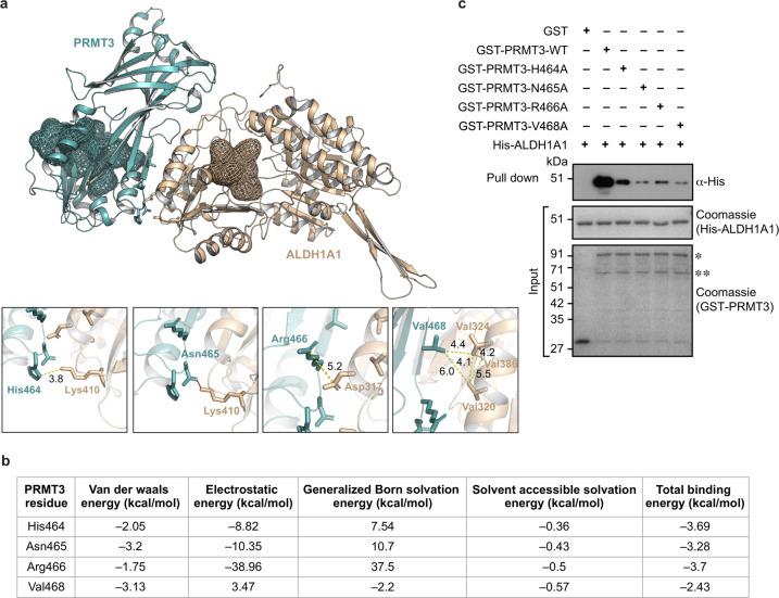 https://cdn.ncbi.nlm.nih.gov/pmc/blobs/9fa3/7835222/935428e271ae/42003_2020_1644_Fig3_HTML.jpg
