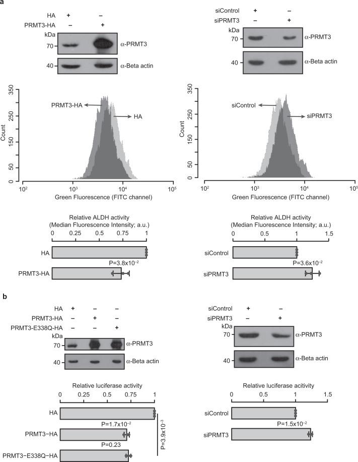 https://cdn.ncbi.nlm.nih.gov/pmc/blobs/9fa3/7835222/c2c765b24f46/42003_2020_1644_Fig5_HTML.jpg