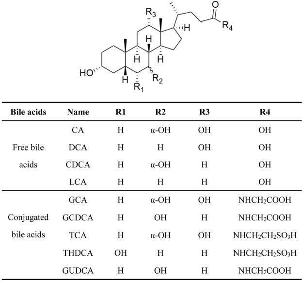 https://cdn.ncbi.nlm.nih.gov/pmc/blobs/9fa3/8606790/cfbaaffa28d2/fphar-12-761255-g001.jpg