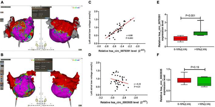 https://cdn.ncbi.nlm.nih.gov/pmc/blobs/9fa4/9279703/27e389e458ef/fcvm-09-883205-g006.jpg