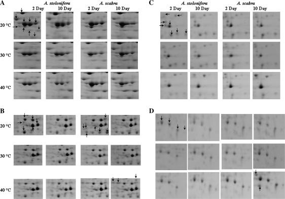 https://cdn.ncbi.nlm.nih.gov/pmc/blobs/9fa7/2639019/6c4b3a249bc6/jexbotern258f02_ht.jpg