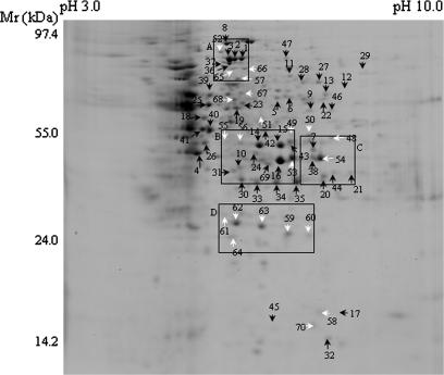 https://cdn.ncbi.nlm.nih.gov/pmc/blobs/9fa7/2639019/9f87594198df/jexbotern258f01_ht.jpg