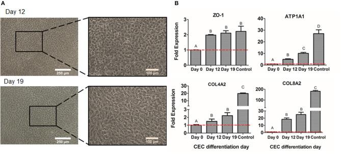 https://cdn.ncbi.nlm.nih.gov/pmc/blobs/9fa7/7876244/28a65174043e/fbioe-09-617724-g0007.jpg