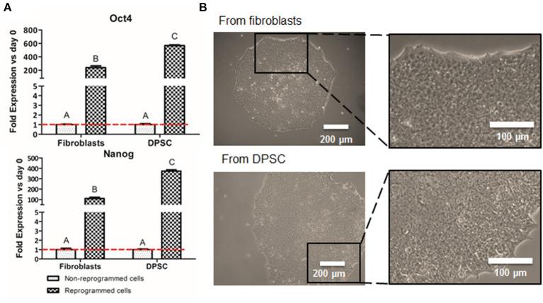 https://cdn.ncbi.nlm.nih.gov/pmc/blobs/9fa7/7876244/e947a611d36a/fbioe-09-617724-g0002.jpg