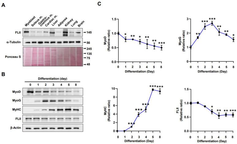 https://cdn.ncbi.nlm.nih.gov/pmc/blobs/9fa8/10531566/2ca7d2821bb8/ijms-24-14335-g001.jpg