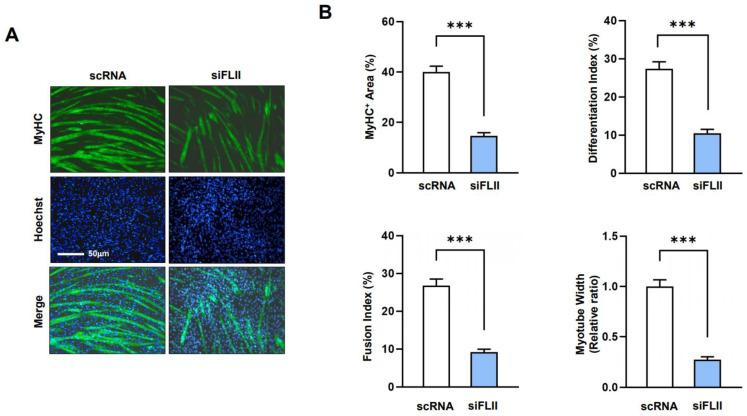 https://cdn.ncbi.nlm.nih.gov/pmc/blobs/9fa8/10531566/e22cd58d831e/ijms-24-14335-g005.jpg