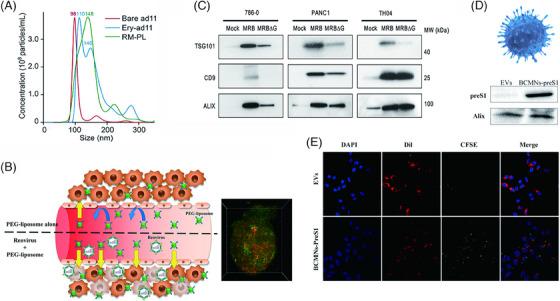 https://cdn.ncbi.nlm.nih.gov/pmc/blobs/9fa8/11467370/a9fde9deddf5/MCO2-5-e755-g001.jpg