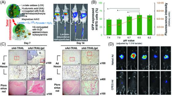 https://cdn.ncbi.nlm.nih.gov/pmc/blobs/9fa8/11467370/f0b717cac982/MCO2-5-e755-g007.jpg