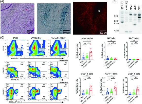 https://cdn.ncbi.nlm.nih.gov/pmc/blobs/9fa8/11467370/fb427ca335ab/MCO2-5-e755-g005.jpg