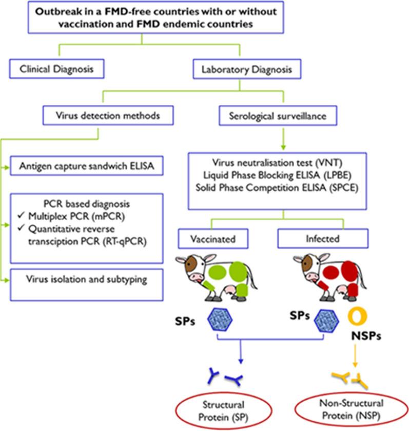 https://cdn.ncbi.nlm.nih.gov/pmc/blobs/9fa9/10724896/18ecca1dd287/12985_2023_2263_Fig7_HTML.jpg