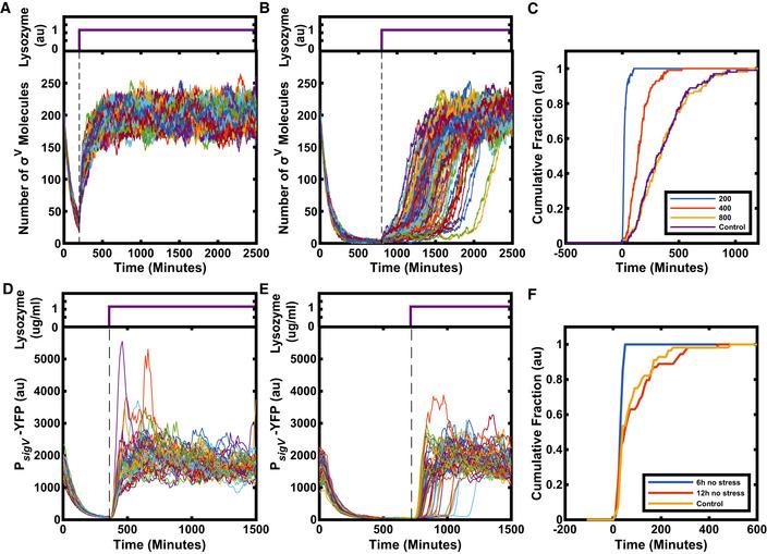 https://cdn.ncbi.nlm.nih.gov/pmc/blobs/9faa/8287880/0d398e86957f/MSB-17-e9832-g013.jpg