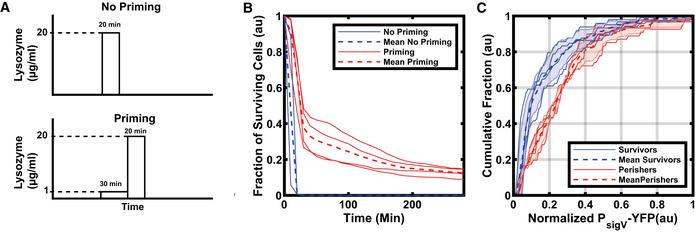 https://cdn.ncbi.nlm.nih.gov/pmc/blobs/9faa/8287880/d326a805c8c4/MSB-17-e9832-g002.jpg