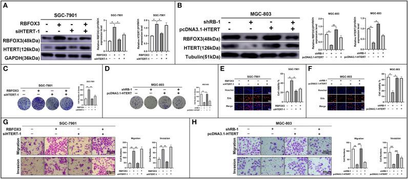 https://cdn.ncbi.nlm.nih.gov/pmc/blobs/9fab/7396657/a14d34c851ca/fonc-10-01044-g0006.jpg