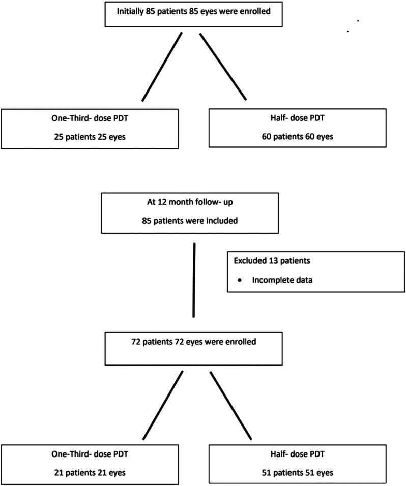 https://cdn.ncbi.nlm.nih.gov/pmc/blobs/9fad/11921750/5a85be936832/40942_2025_657_Fig1_HTML.jpg