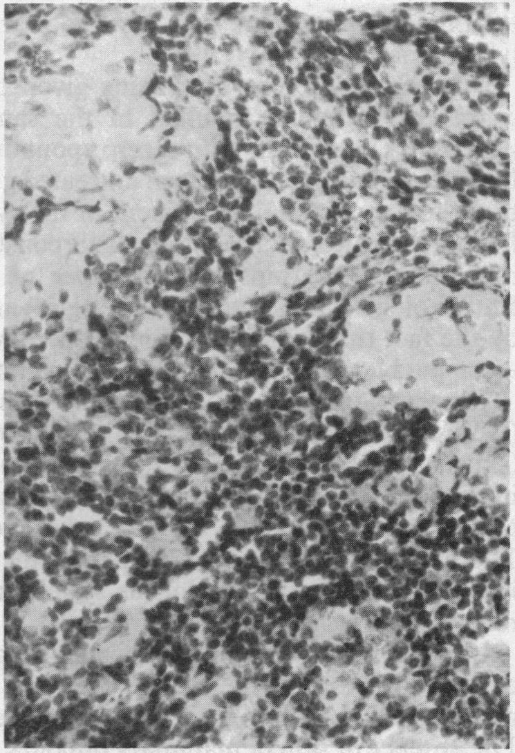 https://cdn.ncbi.nlm.nih.gov/pmc/blobs/9fad/1437318/9132a762c452/jrsocmed00276-0023-b.jpg