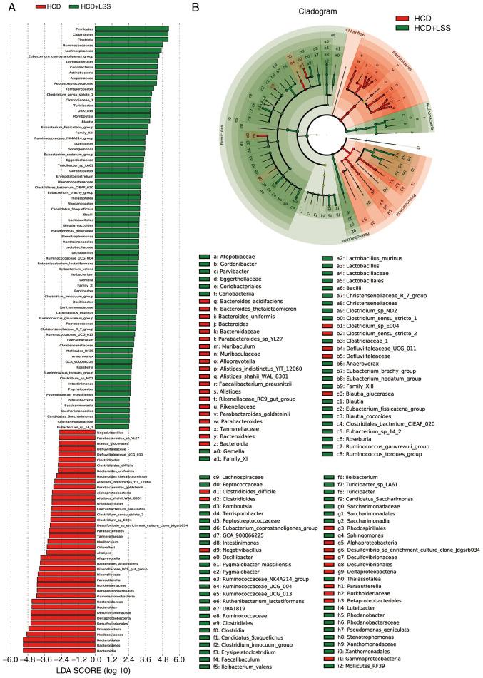 https://cdn.ncbi.nlm.nih.gov/pmc/blobs/9fae/11273247/acc07e9361f2/etm-28-03-12650-g06.jpg