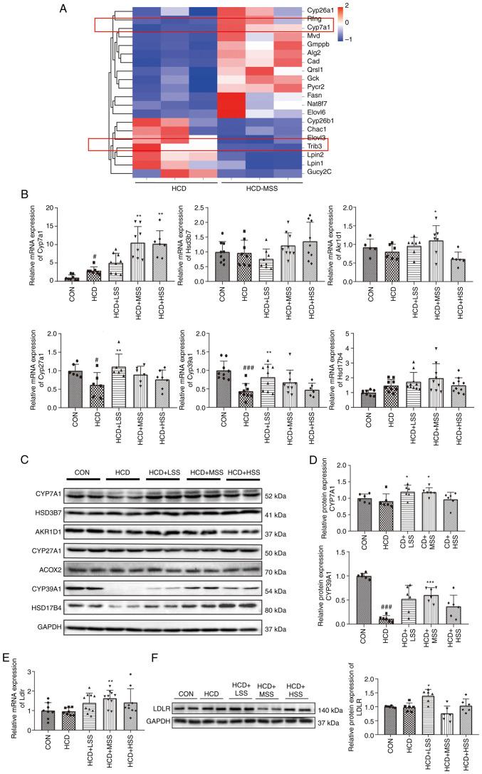 https://cdn.ncbi.nlm.nih.gov/pmc/blobs/9fae/11273247/d45e5a5e8dac/etm-28-03-12650-g01.jpg