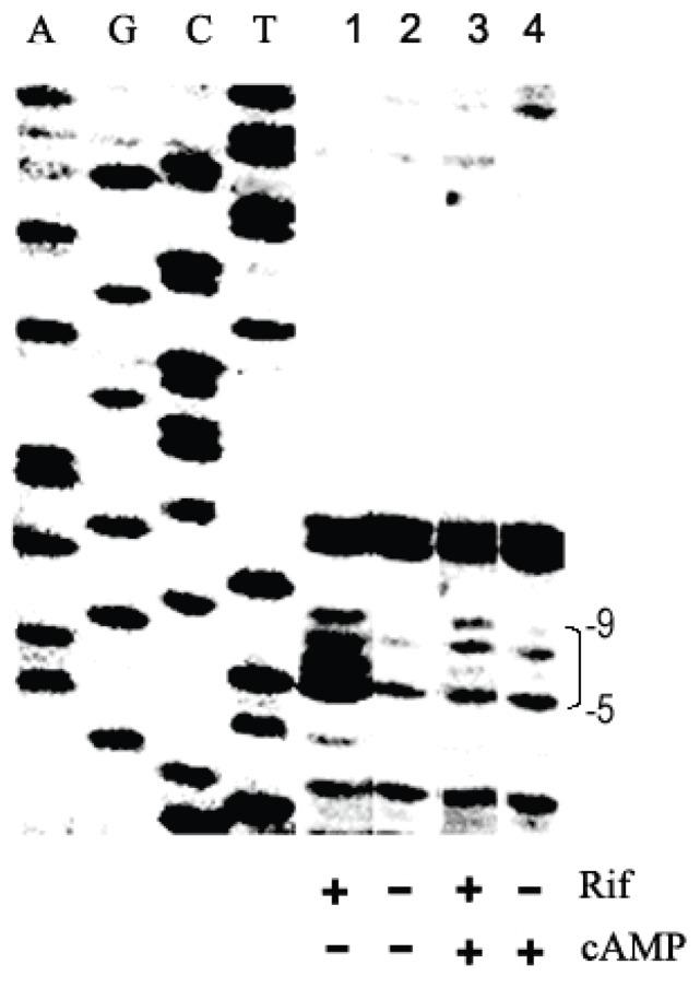 https://cdn.ncbi.nlm.nih.gov/pmc/blobs/9faf/3900584/183107ecbc49/pone.0086727.g002.jpg