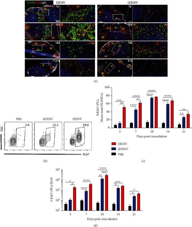 https://cdn.ncbi.nlm.nih.gov/pmc/blobs/9fb0/8096554/357f628e911c/JIR2021-5511841.004.jpg