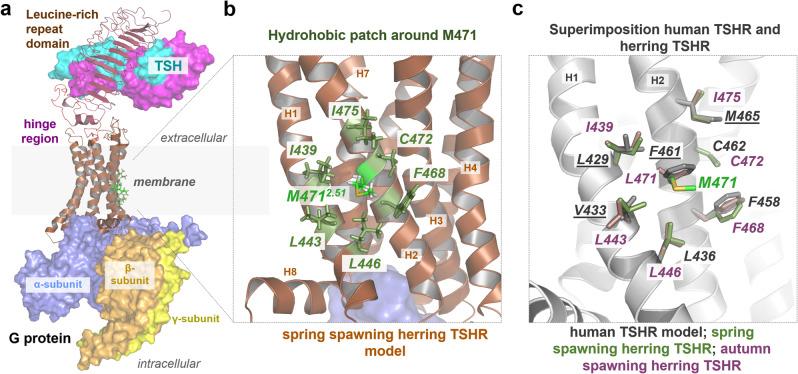 https://cdn.ncbi.nlm.nih.gov/pmc/blobs/9fb0/8233318/3c09ec2212cf/42003_2021_2307_Fig6_HTML.jpg