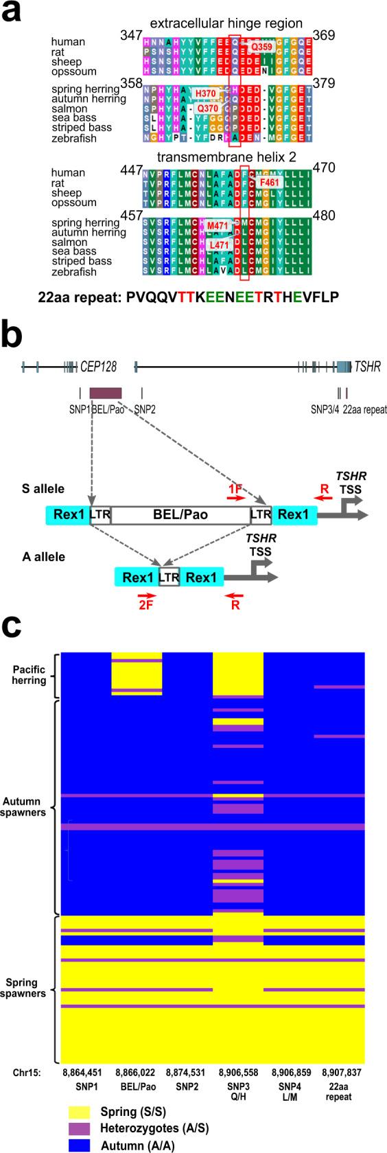 https://cdn.ncbi.nlm.nih.gov/pmc/blobs/9fb0/8233318/5d6fa3105483/42003_2021_2307_Fig2_HTML.jpg