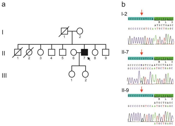 https://cdn.ncbi.nlm.nih.gov/pmc/blobs/9fb2/11595341/6c69fde9fc23/ijms-25-12444-g001.jpg